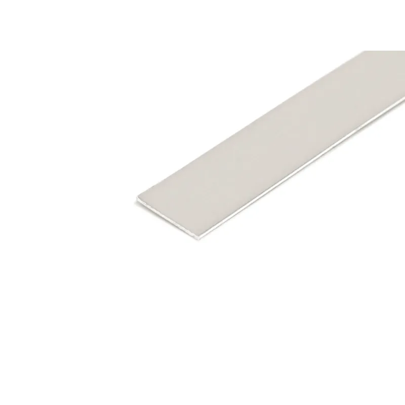 Piattina di base 50 x 2 x 2000 mm