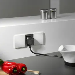 Presa da incasso BACHMANN DUE 2 x 230V / Bianca