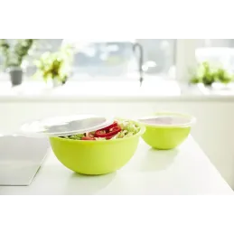 Ciotola in plastica con coperchio CARUBA 1,8 l / Verde