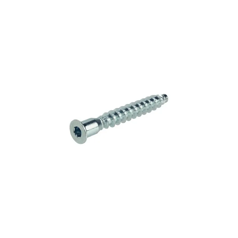 Vite di giunzione 5x50 zincata / 100 pz