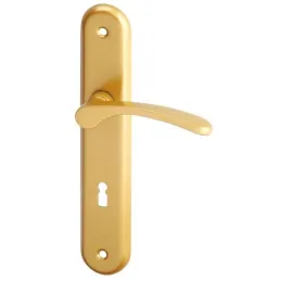 Maniglia su placca ECONOM 72 / Oro lucido