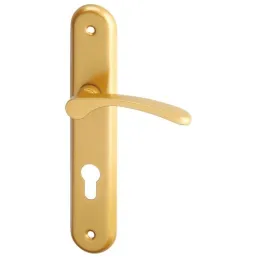 Maniglia su placca ECONOM 72 / Oro lucido