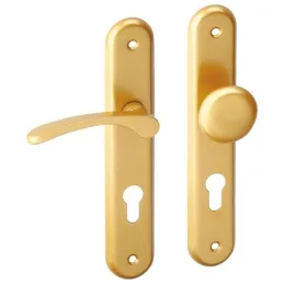 Maniglia su placca ECONOM 72 / Oro lucido