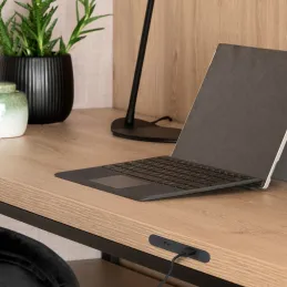Modulo di ricarica da incasso per mobili LINKY USB A+C / Nero opaco