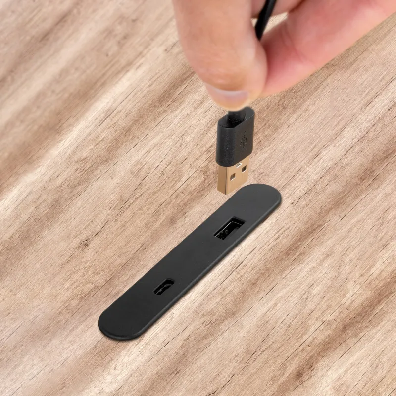 Modulo di ricarica da incasso per mobili LINKY USB A+C / Nero opaco