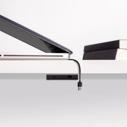 Modulo di ricarica da incasso per mobili LINKY USB A+C / Nero opaco