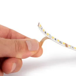 Striscia LED LYNX Basic - 12V - 4,8W - 5m