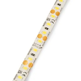 Striscia LED LYNX Basic impermeabile IP65 - 12V - 9,6W - 5m