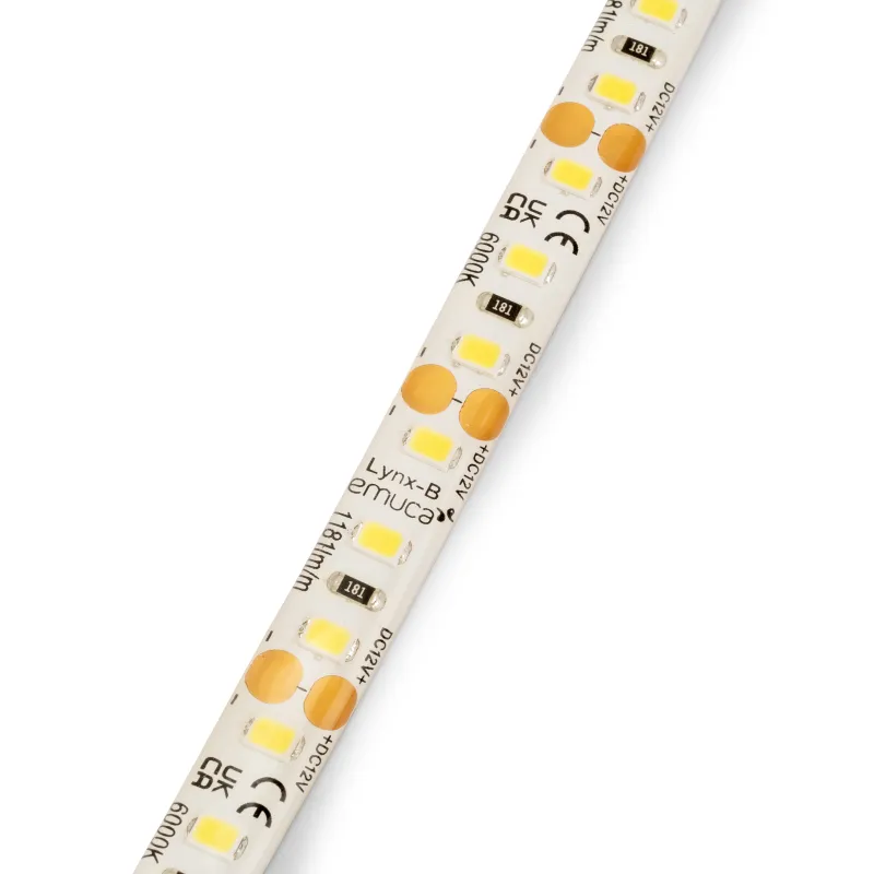 Striscia LED LYNX Basic impermeabile IP65 - 12V - 9,6W - 5m
