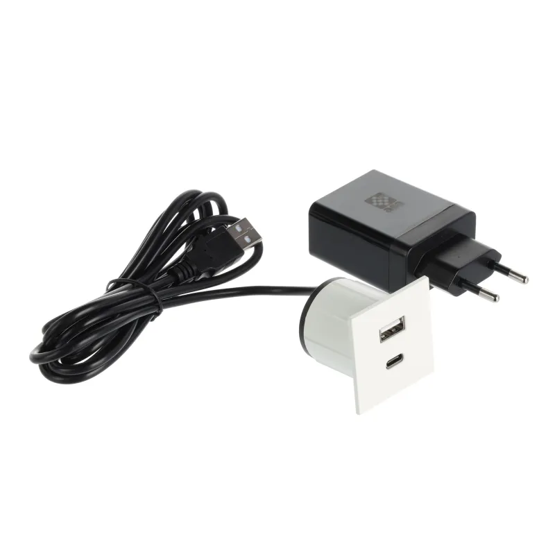 Presa elettrica con caricatore USB VersaPick / Bianco opaco