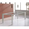 Acciaio inox