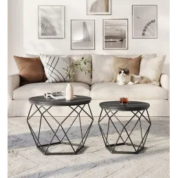 Set di 2 tavolini da salotto ORION / Nero opaco - legno nero