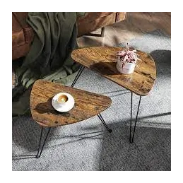 Set di 2 tavolini da salotto LION / Nero opaco – legno vintage