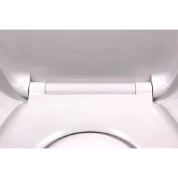 Sedile WC con chiusura ammortizzata / Bianco