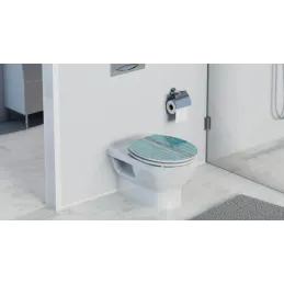Sedile WC con chiusura ammortizzata / Blue wood