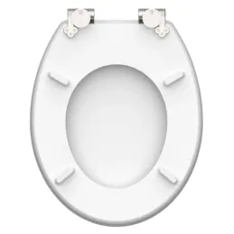 Sedile WC con chiusura ammortizzata / Blue wood