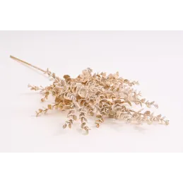Ramo artificiale SNOW EUKALYPTUS 580 mm / Oro