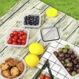 Set da 24 contenitori per alimenti antibatterici FRESH / Trasparenti