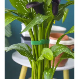 Nastro da giardino in velcro per il giardino e le piante, 5 m / Verde