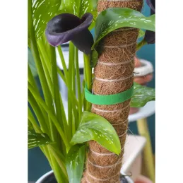 Nastro da giardino in velcro per il giardino e le piante, 5 m / Verde