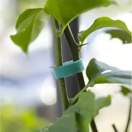 Nastro da giardino in velcro per il giardino e le piante, 5 m / Verde