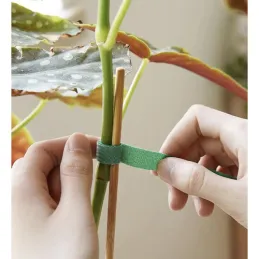Nastro da giardino in velcro per il giardino e le piante, 5 m / Verde
