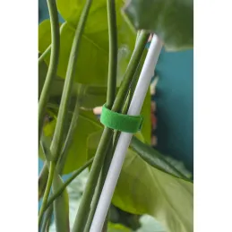 Nastro da giardino in velcro per il giardino e le piante, 5 m / Verde
