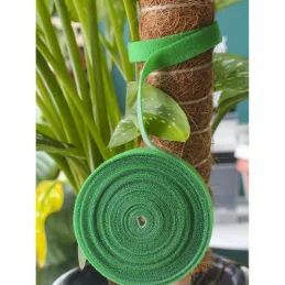 Nastro da giardino in velcro per il giardino e le piante, 5 m / Verde