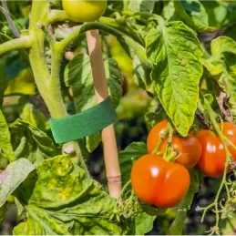 Nastro da giardino in velcro per il giardino e le piante, 5 m / Verde