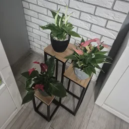 Portafiori a 3 livelli GARDEN / Nero - legno