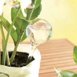 SET DA 8 DOSATORI AUTOMATICI D’ACQUA PER VASI / Trasparenti