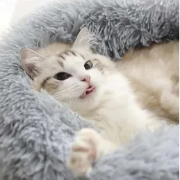 Cuccia pelosa per animali SWEETY 600 mm / Grigia