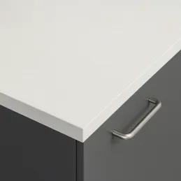 Piano di lavoro PFLEIDERER ABS PERFORM 20 mm Quarzo chiaro / F73009