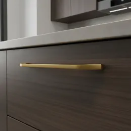 Maniglia DARA / Oro spazzolato