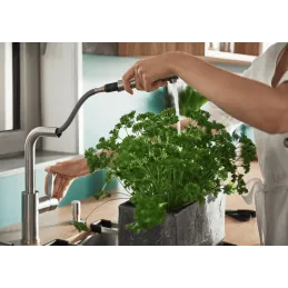 Miscelatore da cucina da posizionare davanti alla finestra Blanco LANORA S-F con doccetta / Acciaio inox lucido