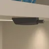 Antracite