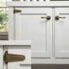 Ottone anticato