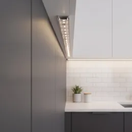 Profilo in alluminio ZARIA per illuminazione a LED con copertura trasparente / Alluminio