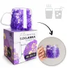 Viola