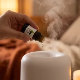 Set 6 pz oli essenziali per diffusori di aromi / 10 ml