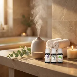 Set 6 pz oli essenziali per diffusori di aromi / 10 ml