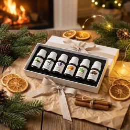 Set 6 pz oli essenziali per diffusori di aromi / 10 ml