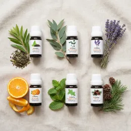 Set 6 pz oli essenziali per diffusori di aromi / 10 ml