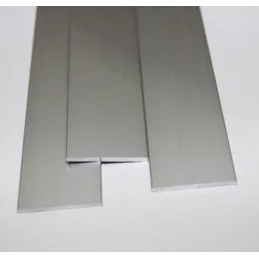 Piattina di base 50 x 2 x 2000 mm
