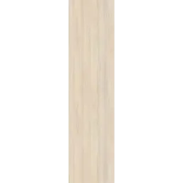 ABS pannello decorativo Javor Hard champagne H3860/ST9