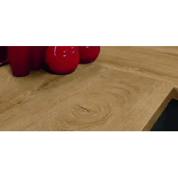 Piano di lavoro KAINDL Rovere ENDgrain klasik / K5414 AW