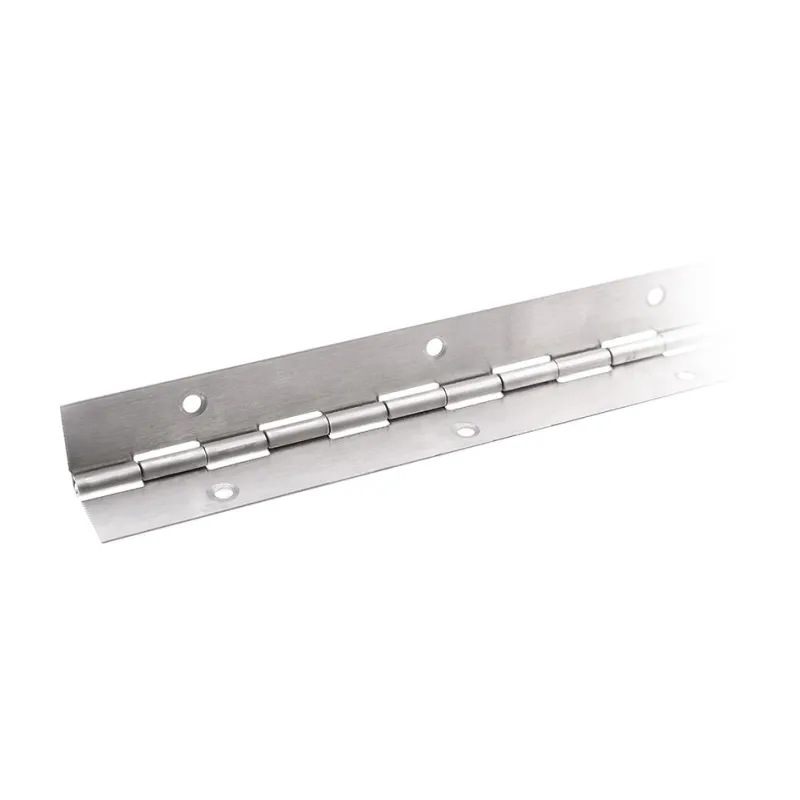 Cerniera a pianoforte / Acciaio inox