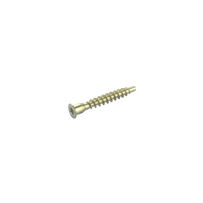 Confermat 7x50 zinco giallo / 100 pz.