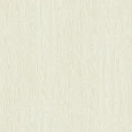ABS bordo in plastica Salice Bianco / R55072 ML