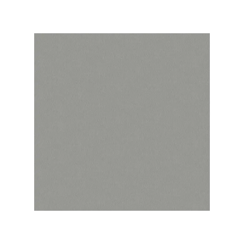 Pannello in truciolare PFLEIDERER Inox Grigio / F76112 SM